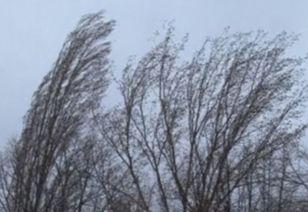 COD GALBEN de vreme rea în județul Botoșani