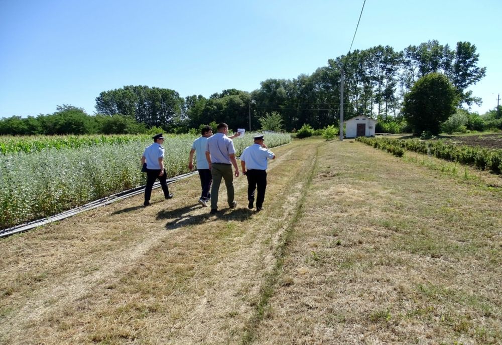 Acțiuni de prevenire pentru stoparea incendiilor de vegetație