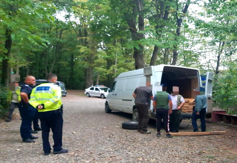 Razie de aploare pe drumurile din județul Botoșani pe linia prevenirii și combaterii ilegalităților în domeniul forestier