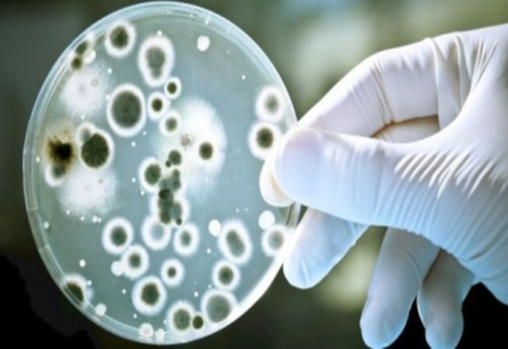 Ministrul Sănătății: „În România avem multe bacterii multirezistente, suntem pe primul loc în Europa la trei dintre ele”