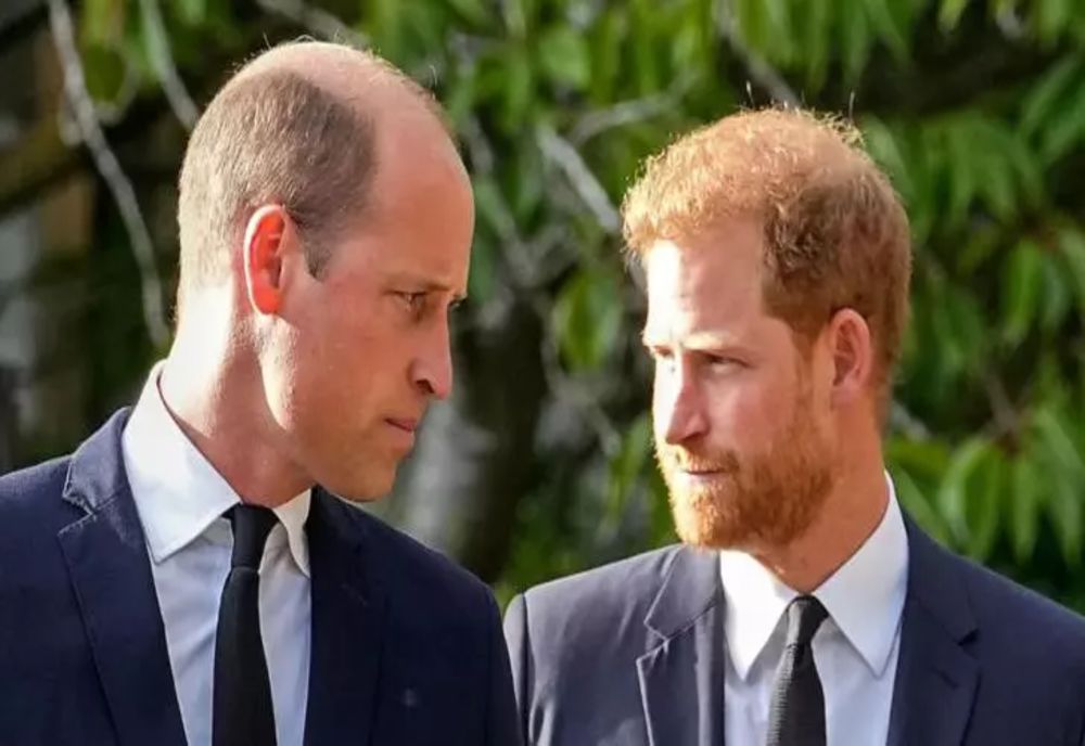 Prinţul Harry susţine că a fost bătut de fratele său William, în 2019: "A dat cu mine de pământ"