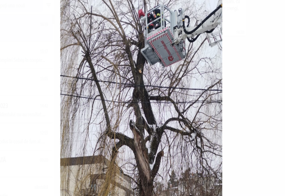 Pericol înlăturat de pompieri, după ce un trecător a sunat la 112 și a semnalat că un copac se poate prăbuși peste pietoni