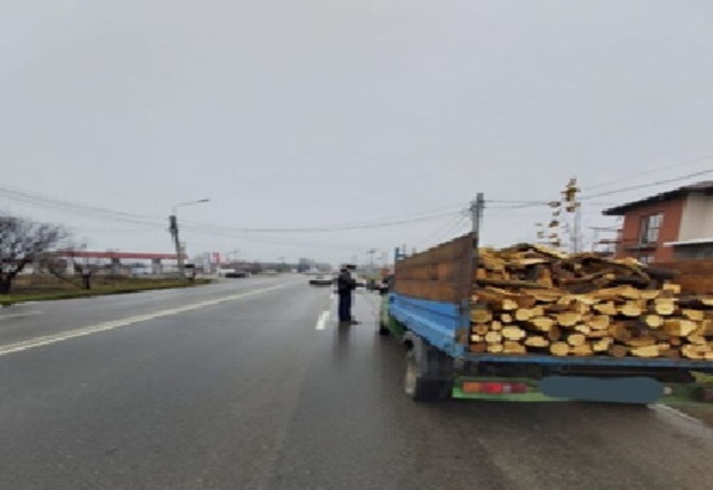 Sucevean prins transportând material lemnos fără acte de proveniență