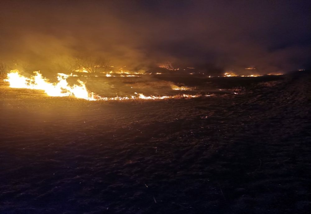 Zece hectare de vegetație au ars în județul Botoșani