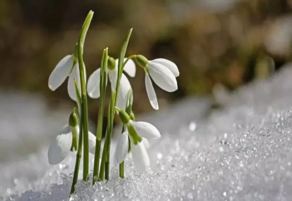 Cum va fi vremea în următoarele 4 săptămâni. Prognoza meteo pentru luna februarie
