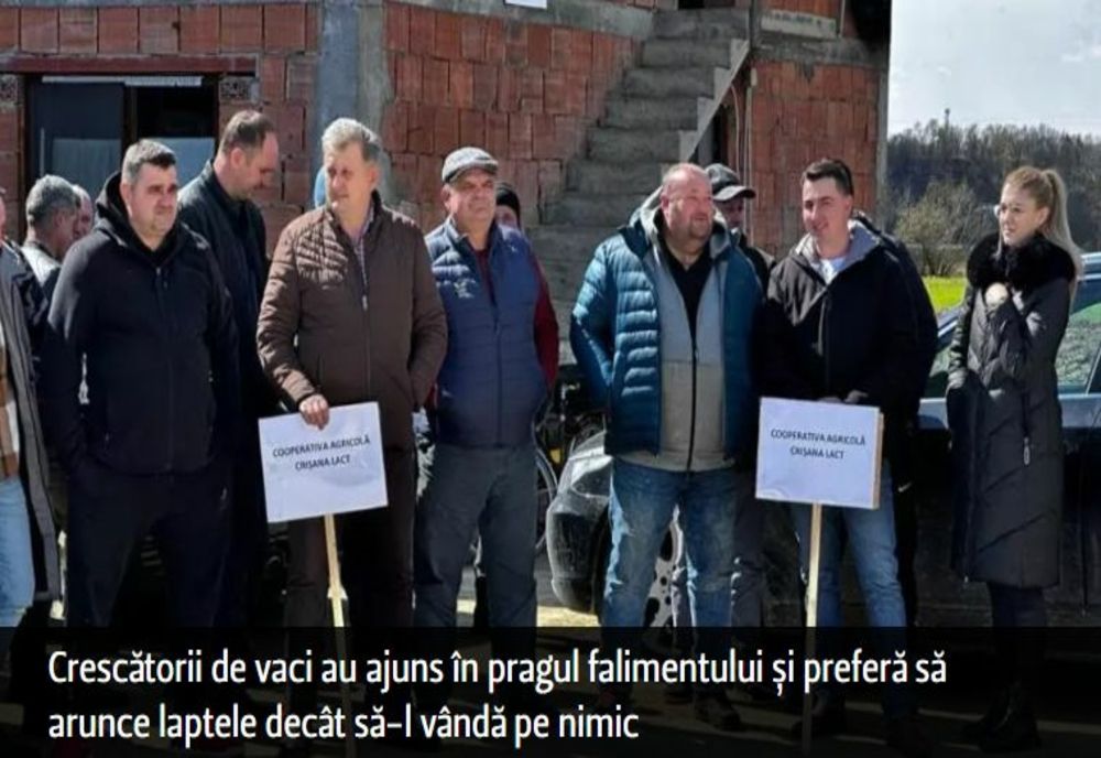 Crescătorii de vaci au ajuns în pragul falimentului și preferă să arunce laptele decât să-l vândă pe nimic
