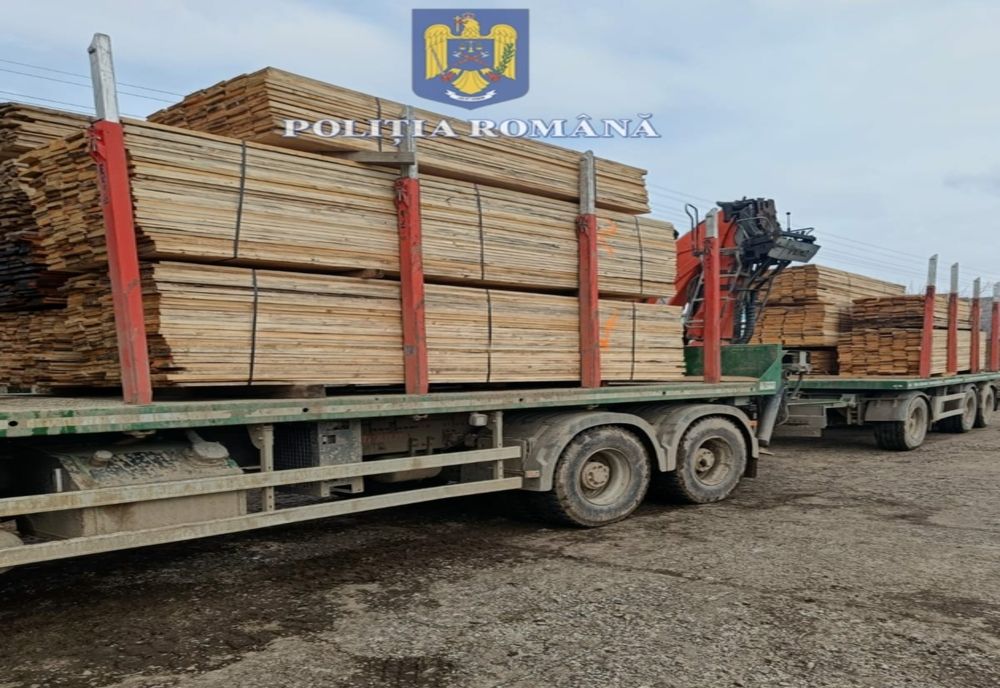 Peste 2.000 de metri cubi de material lemnos au fost confiscați de polițiștii botoșăneni