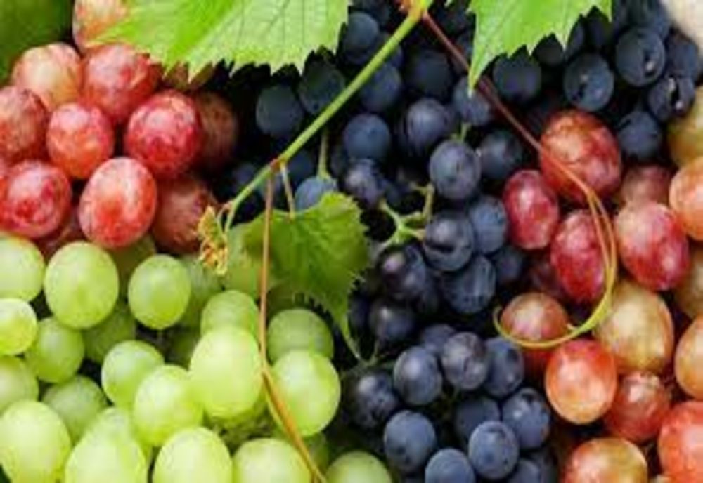 Efectele secundare neașteptate ale strugurilor asupra sănătății. Iată ce ar trebui să știi