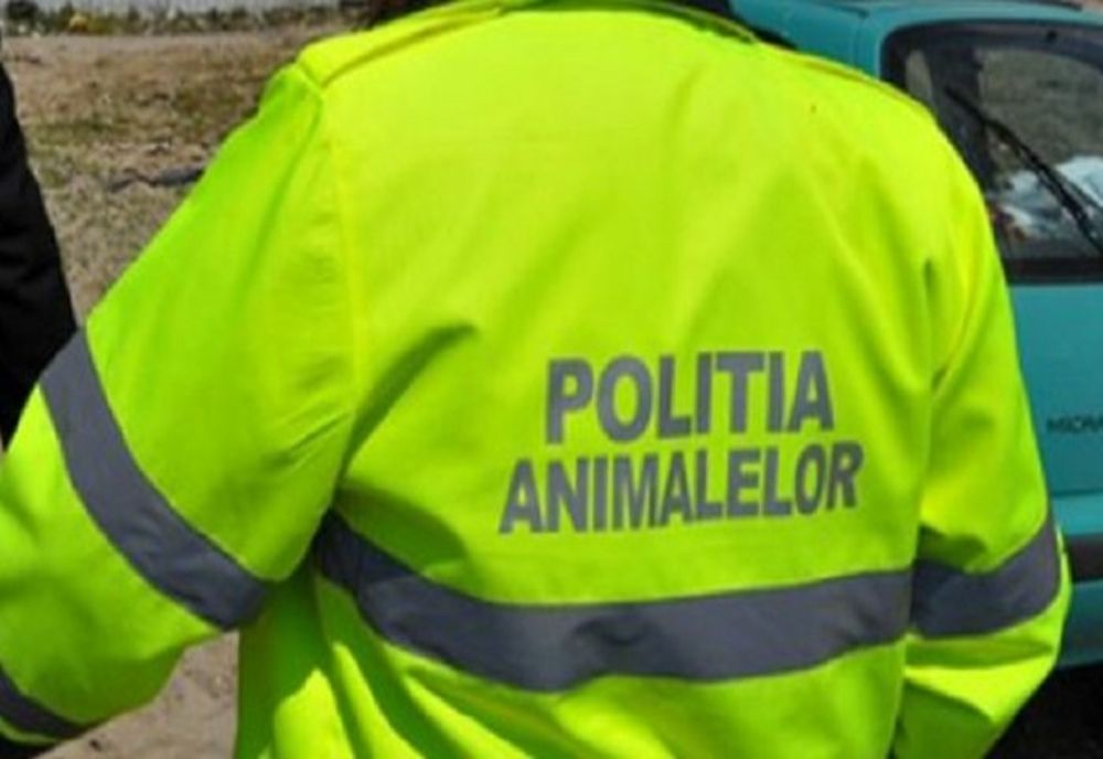 IGPR: 130 DE ANIMALE ÎN SITUAŢII DE PERICOL AU FOST SALVATE LUNA TRECUTĂ