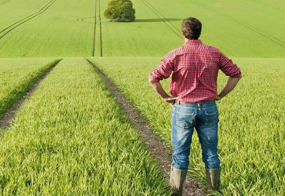 FERMIERII TREBUIE SĂ SEMNEZE CERERILE DE PLATĂ PÂNĂ LA SFÂRŞITUL ACESTEI LUNI