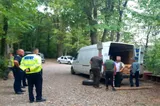 Razie de aploare pe drumurile din județul Botoșani pe linia prevenirii și combaterii ilegalităților în domeniul forestier