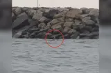 Alertă pe litoral! Dronă maritimă observată la Costinești, lângă un dig: au fost alertate autoritățile VIDEO 