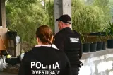 Caz neașteptat în Botoșani: un bărbat și-ar fi amenajat o biserică în propria casă și s-ar fi dat drept preot