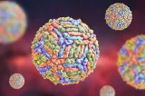 INSP: Un singur caz de infecție cu virusul West Nile, confirmat în județul Botoșani în 2026