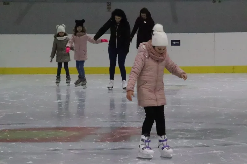 patinoar cornisa (5)