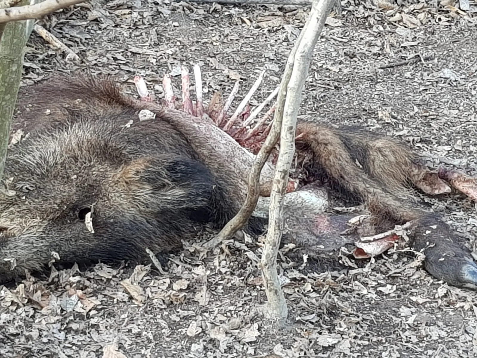 mistreti morti pomarla (1)