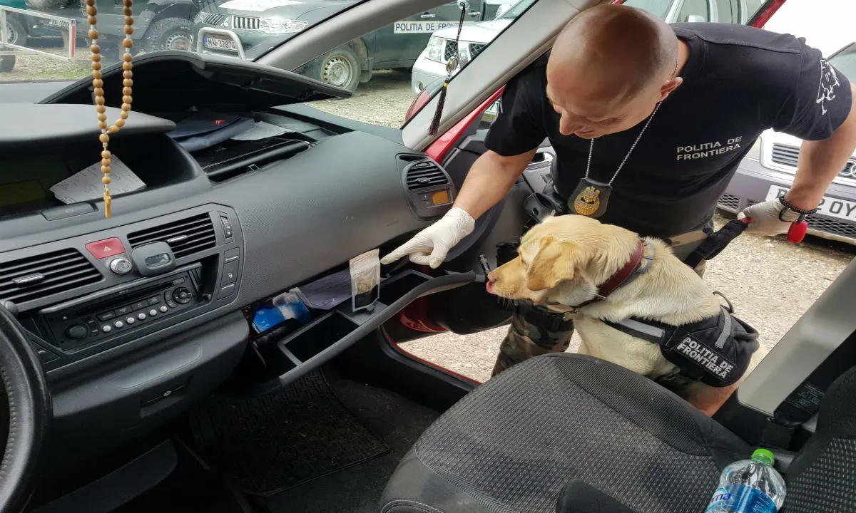 politie de frontiera caine