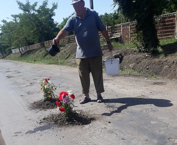 flori in asfalt