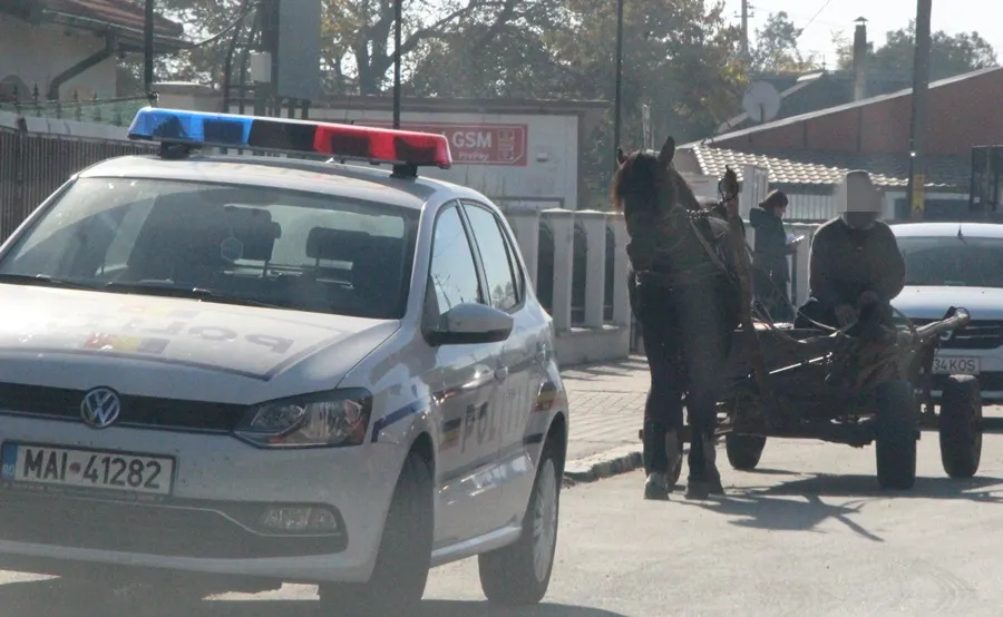 politie carutas