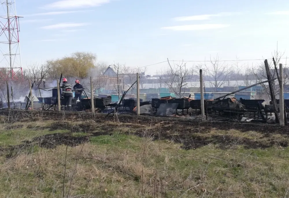 A vrut să ardă resturile vegetale și a rămas fără 32 de stupi cu albine