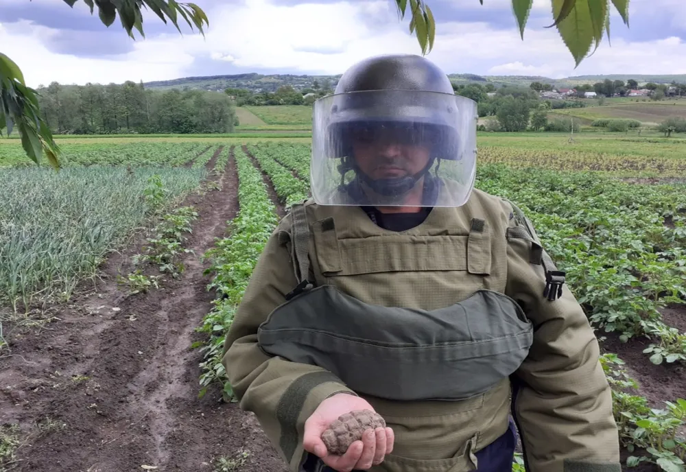 Grenadă descoperită în gospodăria unui localnic din comuna Vorona