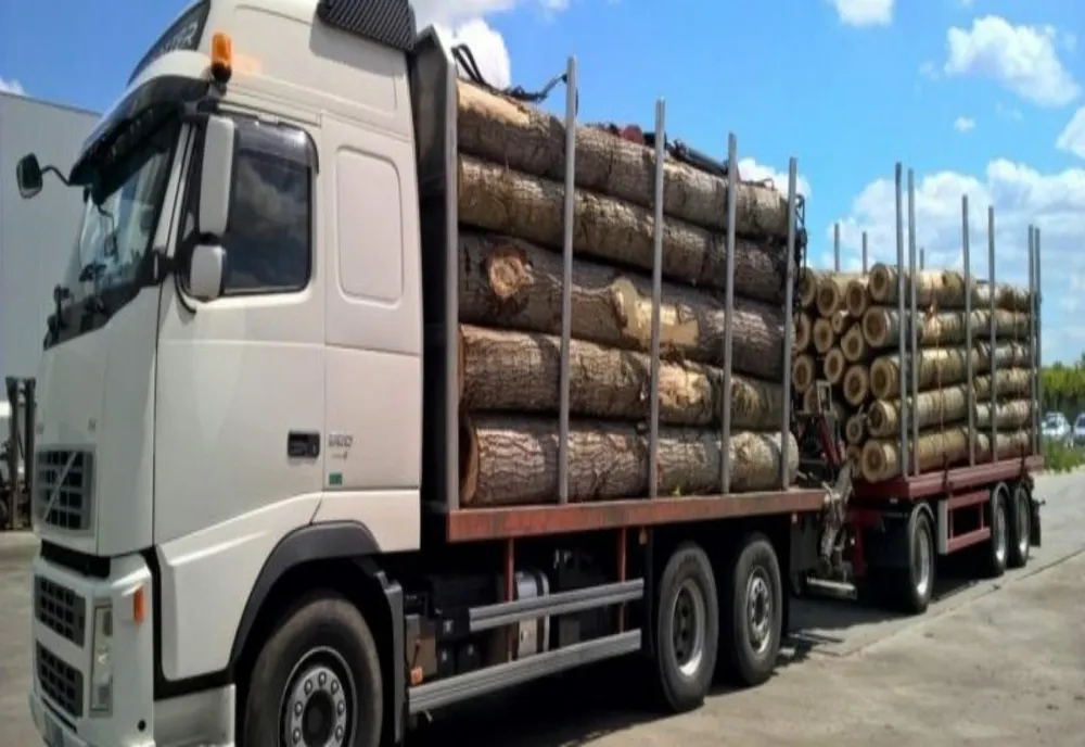 Comercializa material lemnos fără acte! Ce amendă a primit agentul economic
