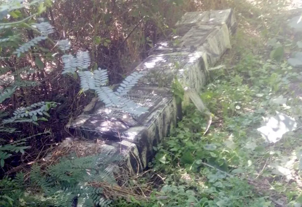 Ţigări de contrabandă ascunse în vegetaţia de la malul Prutului