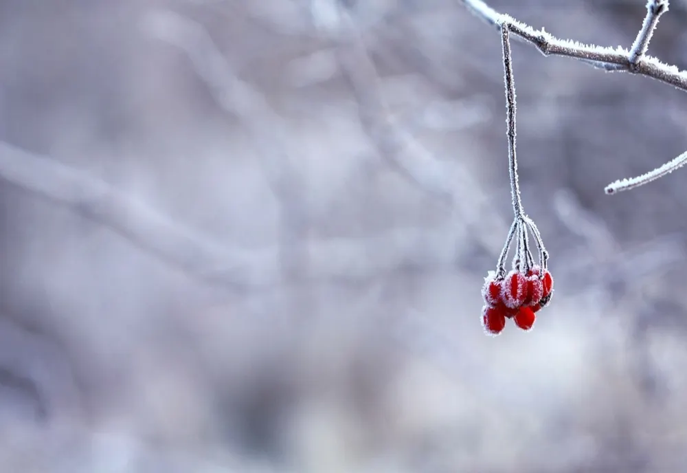Prognoza meteo 24 ianuarie. Cod galben de ninsori și viscol - zonele lovite de ger