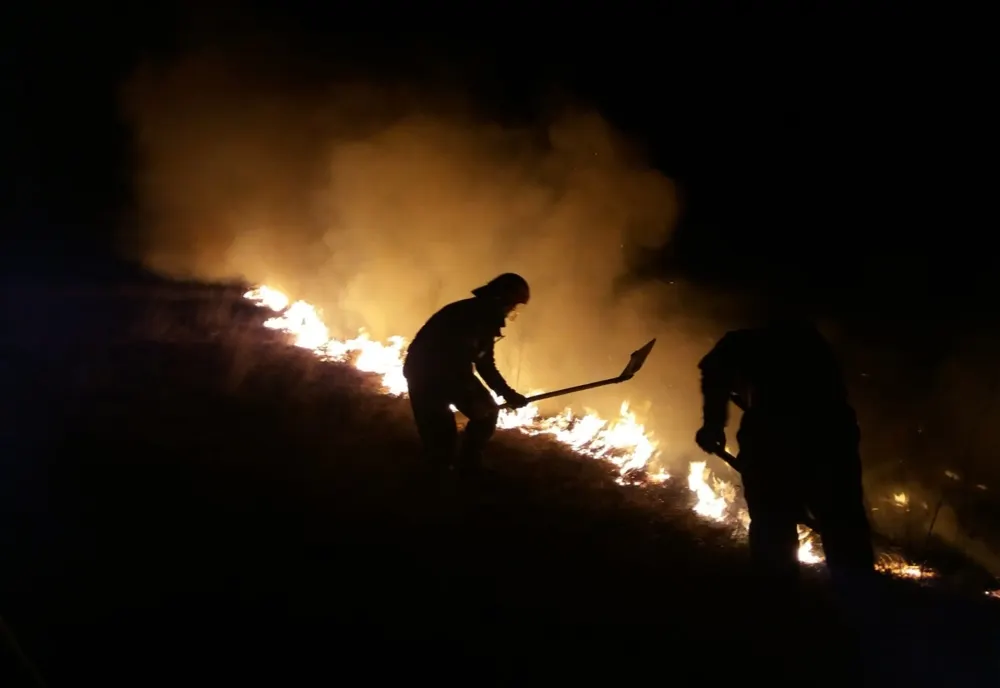 Incendiu de amploare în Botoșani - Hectare întregi de vegetație au luat foc