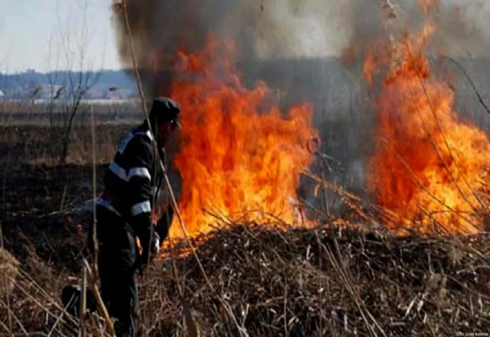 Peste 60 hectare de vegetație distruse duminică, în incendii