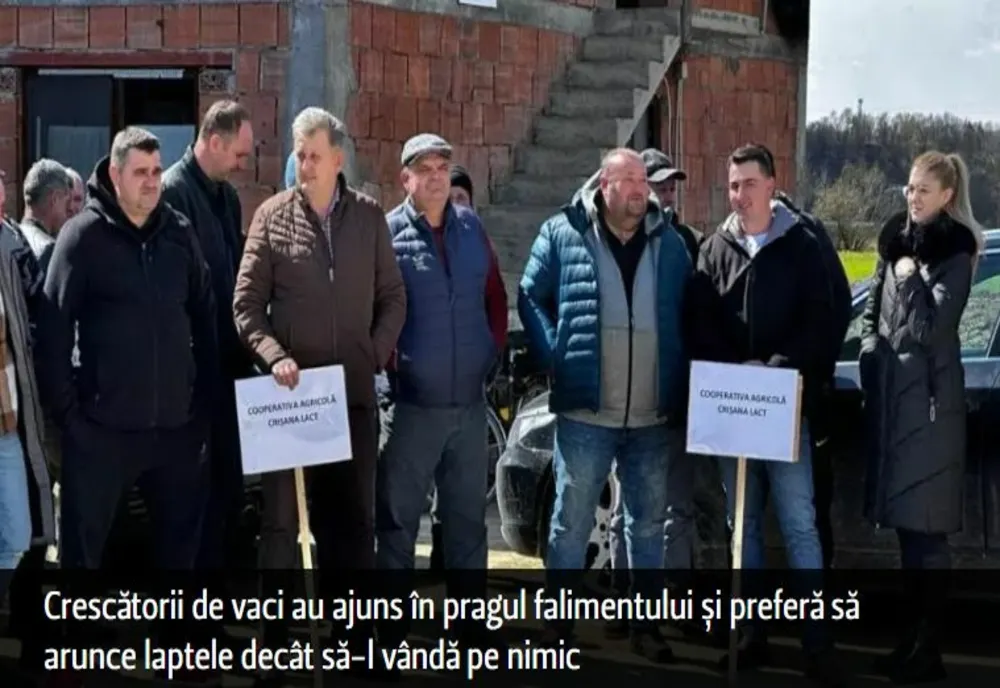 Crescătorii de vaci au ajuns în pragul falimentului și preferă să arunce laptele decât să-l vândă pe nimic