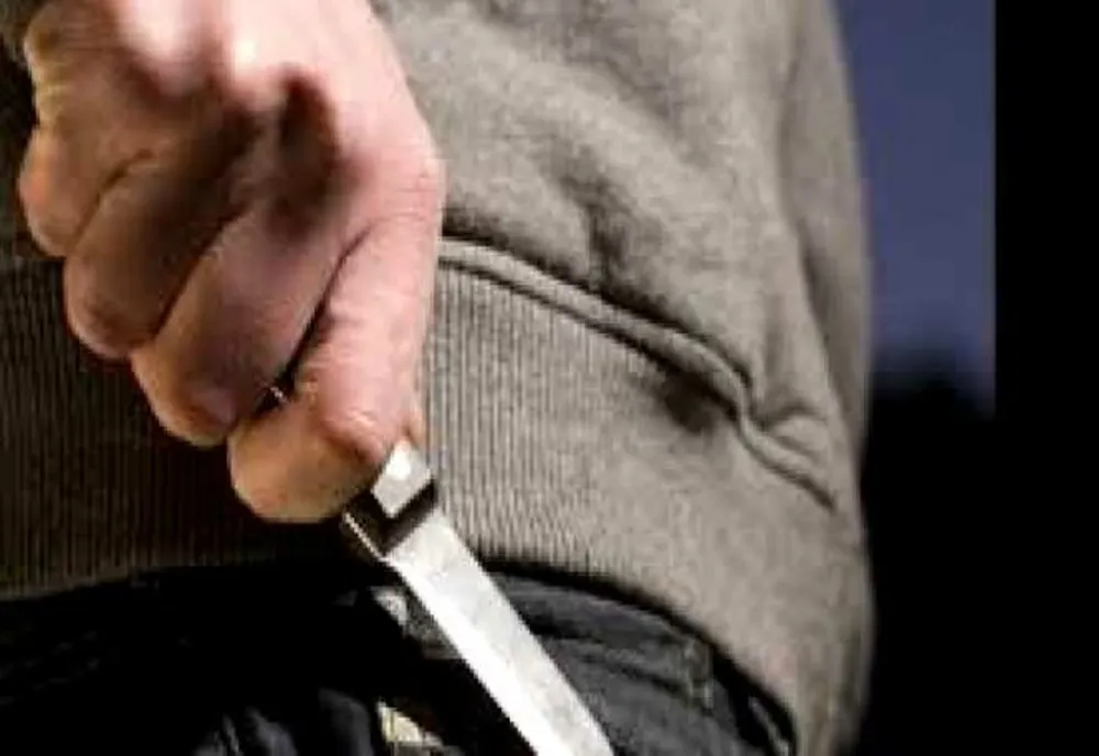 Botoșăneanul agresiv, pus sub control judiciar