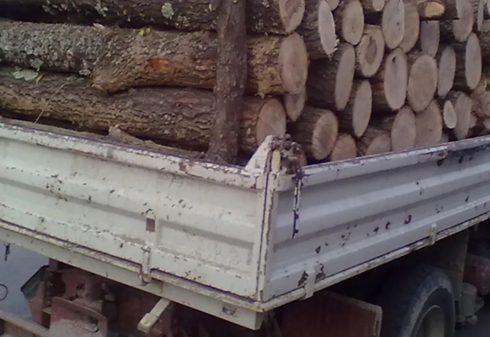 Amendă de 2.000 de lei aproape 5 metri cubi de material lemnos confiscat, pentru lipsa documentelor