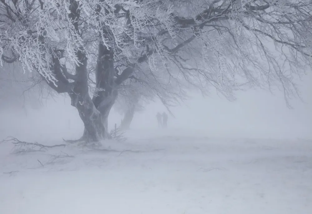 Avertizare meteo de vânt, polei, ploi și ninsori, în toată țara, până vineri dimineața