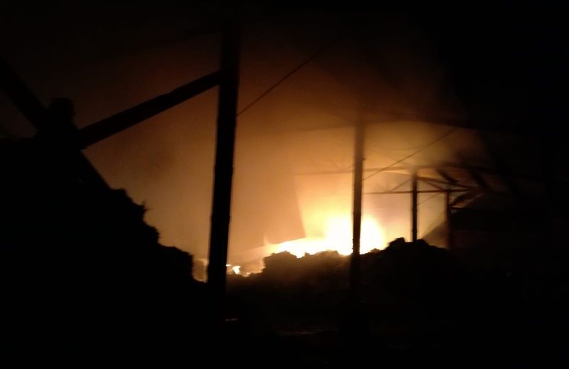 incendiu ferma ripiceni1