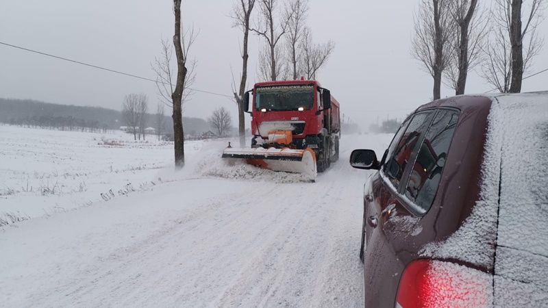 iarna deszapezire (3)