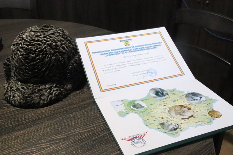 statiunea popauti, ionica nechifor (5)