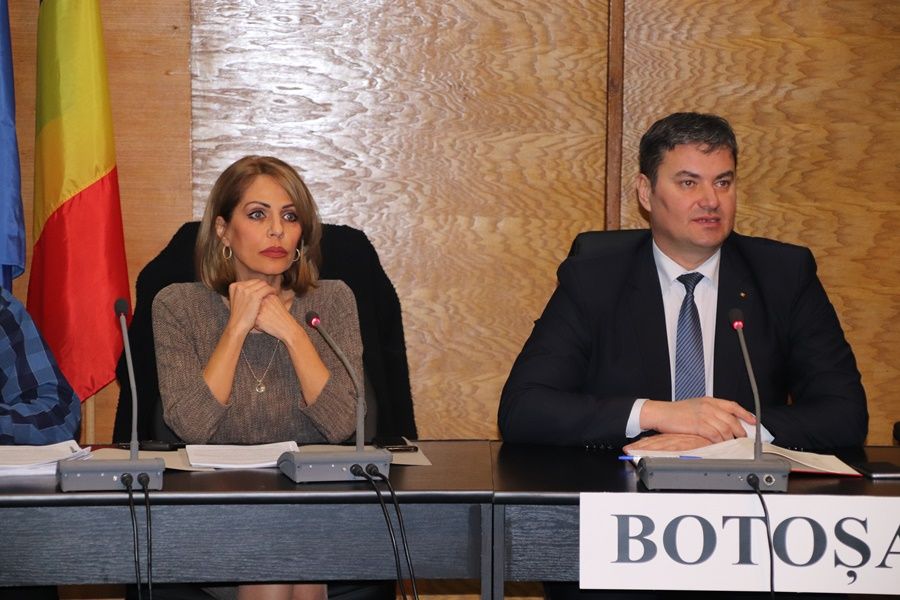 minodora vasiliu, dan slincu