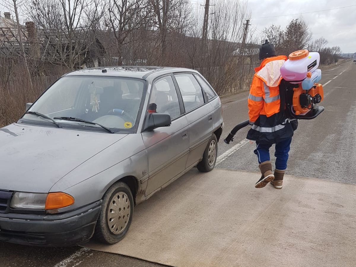 pesta porcina pomarla (3)