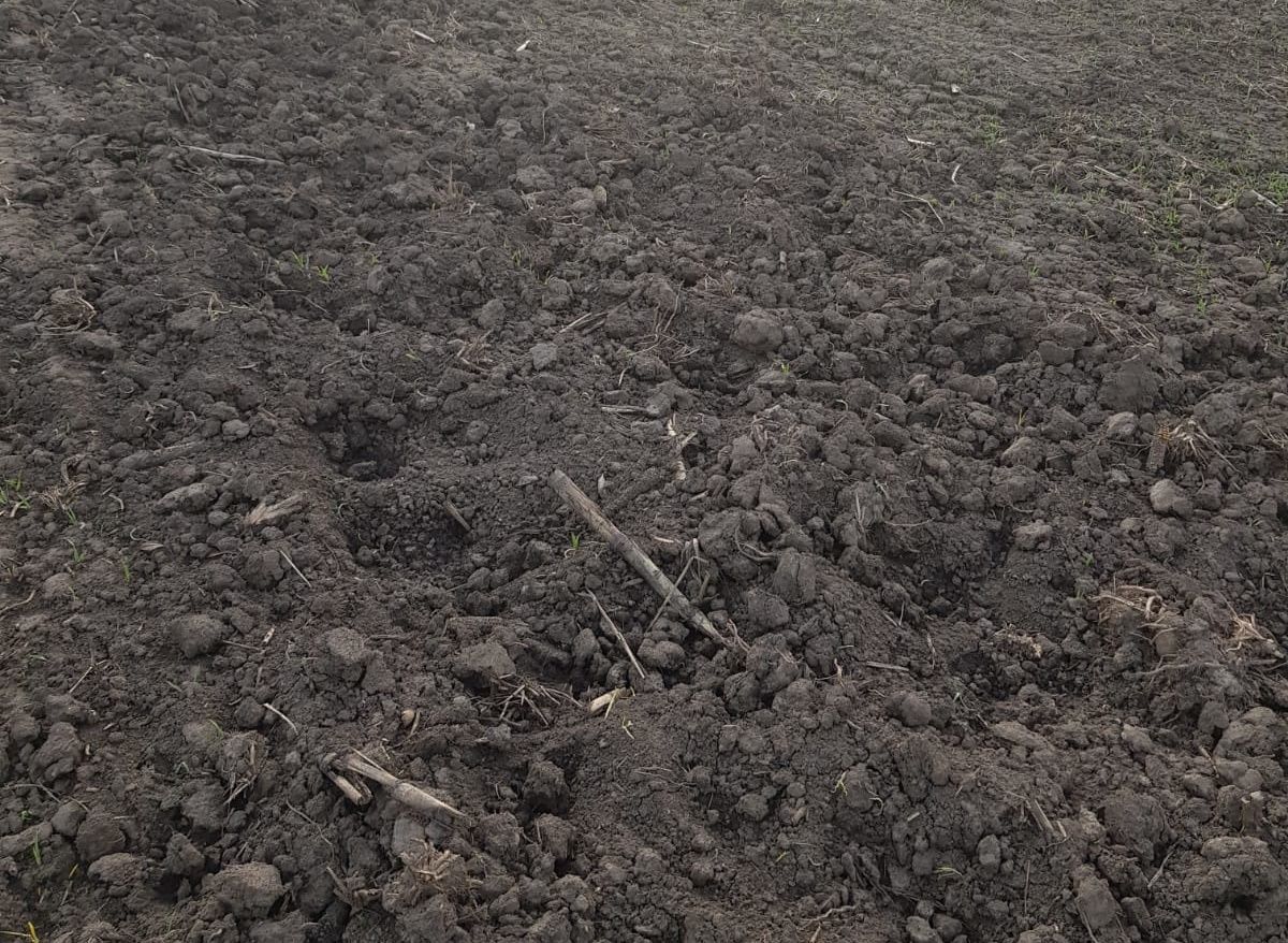 pomarla mistreti, punct control (5)