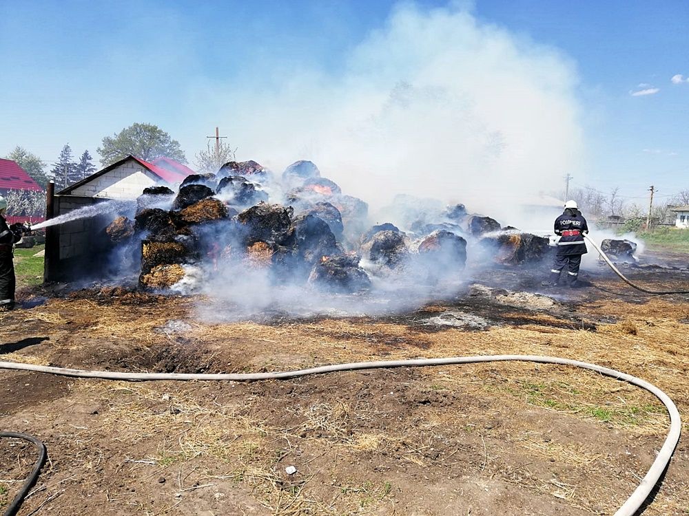 incendiu crasnaleuca (15)