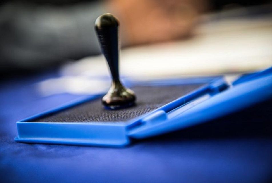 Stampila-vot-sectie-votare