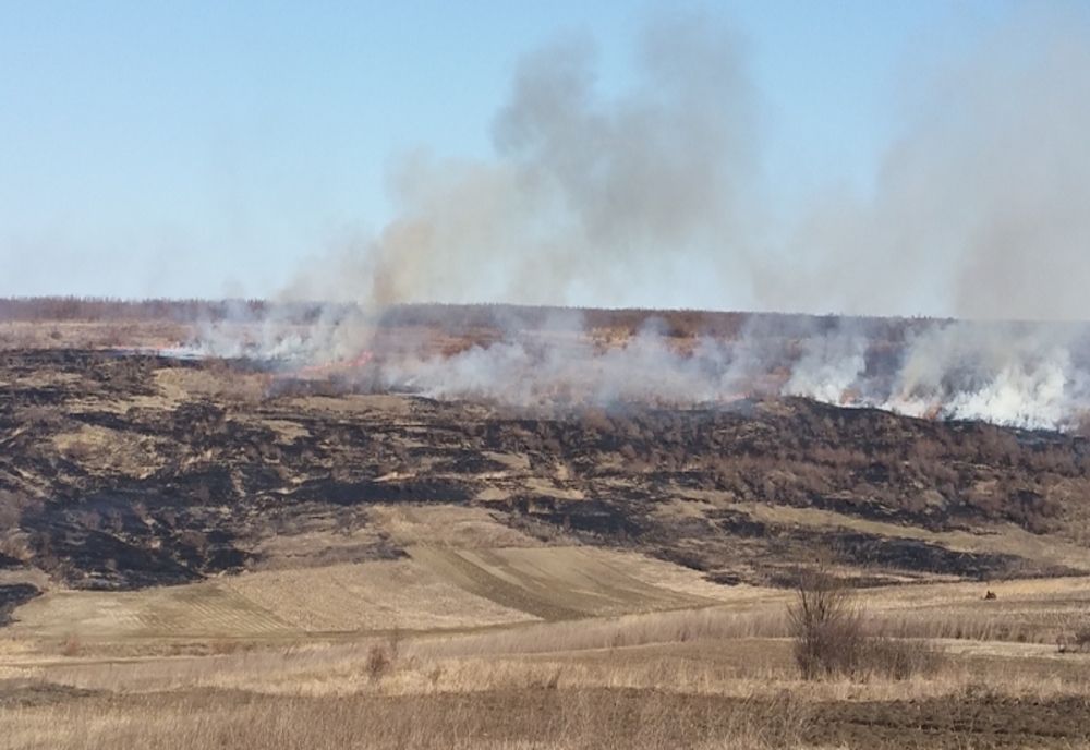 Incendii în județul Botoșani. A ars vegetația de pe 14 hectare