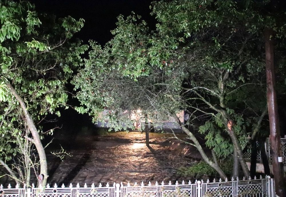 Case inundate, animale luate de apă și drum național blocat FOTO&VIDEO