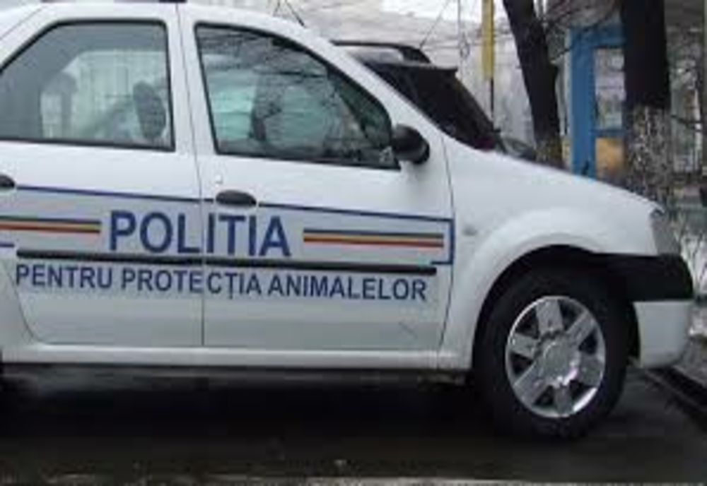 S-a înființat Poliția Animalelor. Ea va avea structuri în toate județele