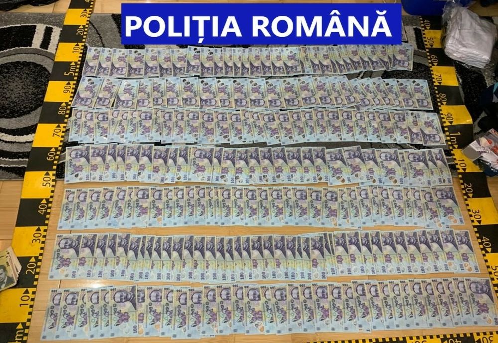 Percheziții în Botoșani și Bacău într-un dosar de fraudă informatică! Două persoane, reținute!
