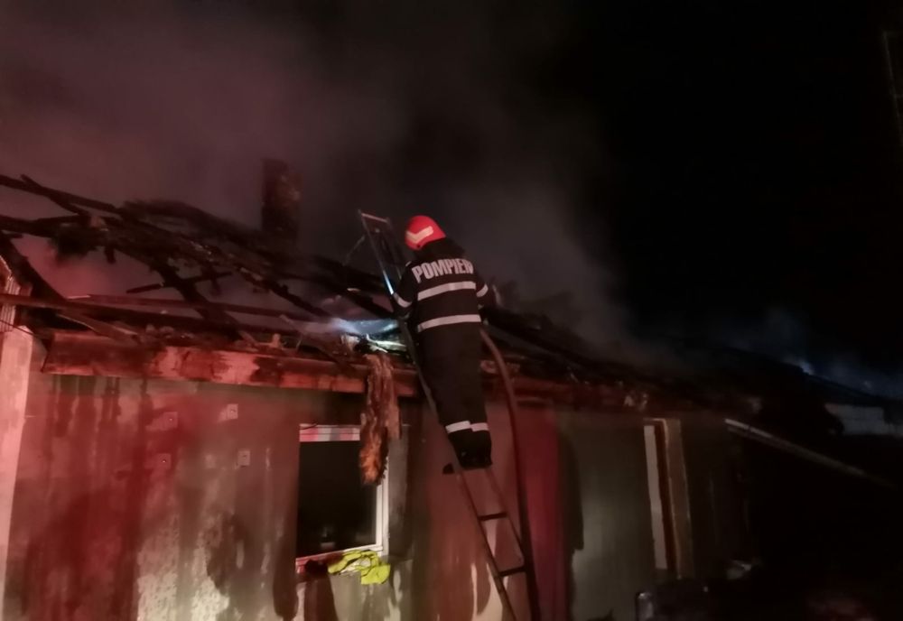 6.000 de pui arși în urma unui incendiu (FOTO)