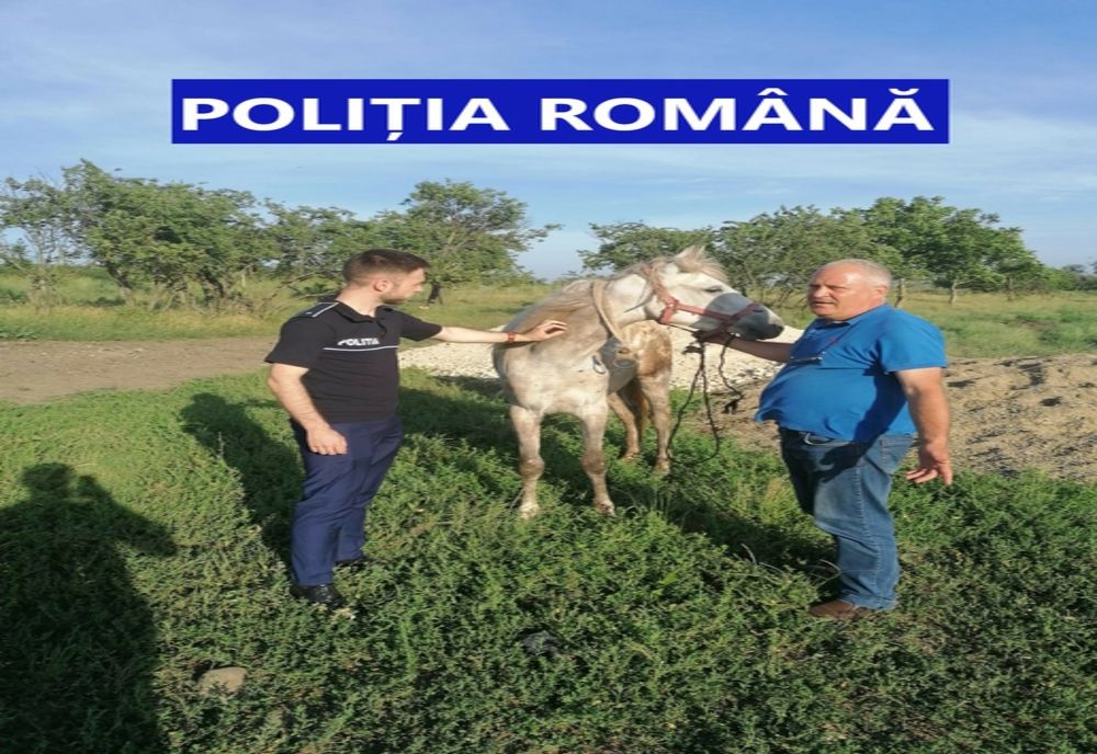 Cal salvat din mâinile unui om fără inimă