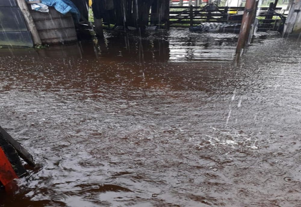 Gospodării inundate și drumuri avariate în județul Botoșani - VIDEO