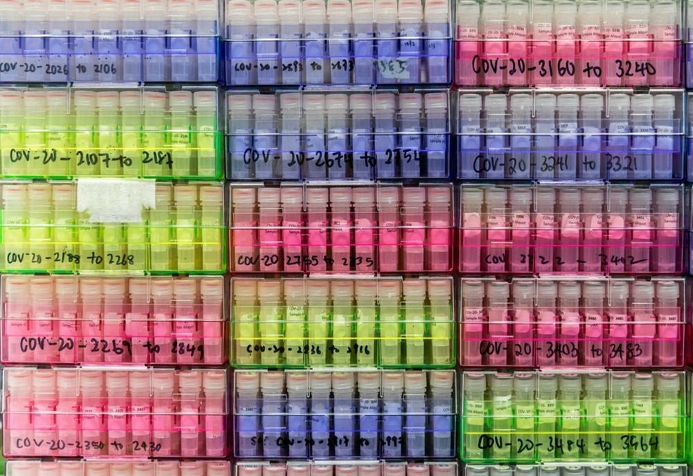 OMS a anunţat un nou sistem de denumire a variantelor Covid-19